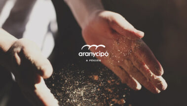 Aranycipó 01