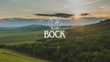 Bock 01